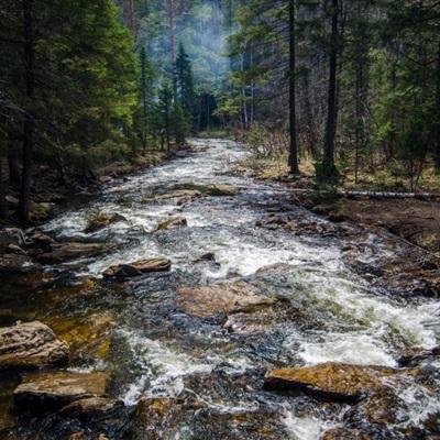 kok中欧登录入口app下载